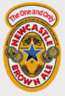 			Newcastle Brown Ale		